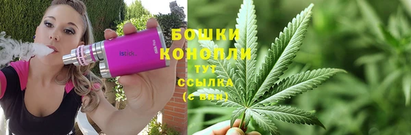 дмт Лабытнанги