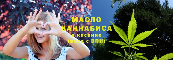 дмт Лабытнанги