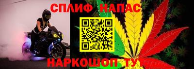 гидра Апшеронск