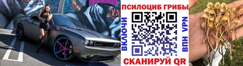 где купить наркоту  shop наркотические препараты  Галлюциногенные грибы мухоморы  Бийск 