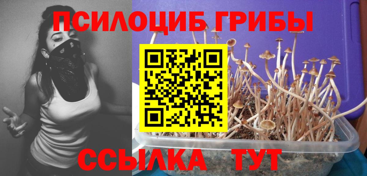 Галлюциногенные грибы мухоморы Бийск