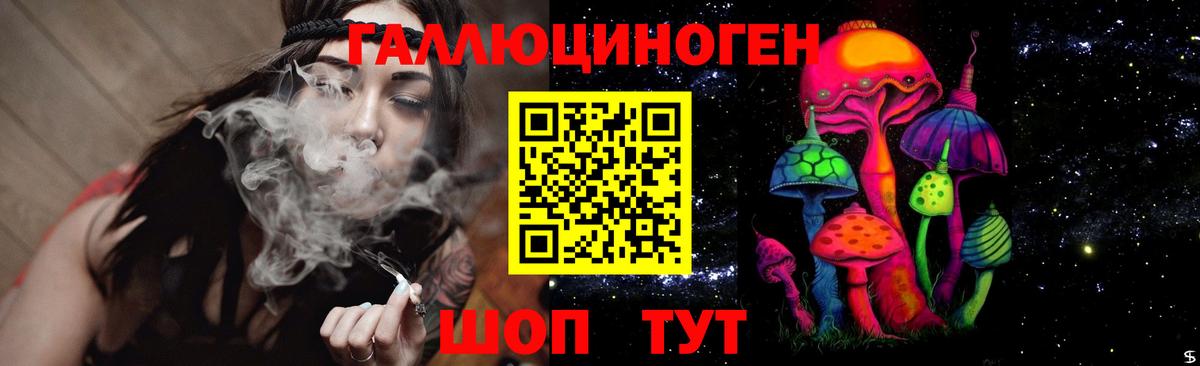 Галлюциногенные грибы Psilocybe Бийск